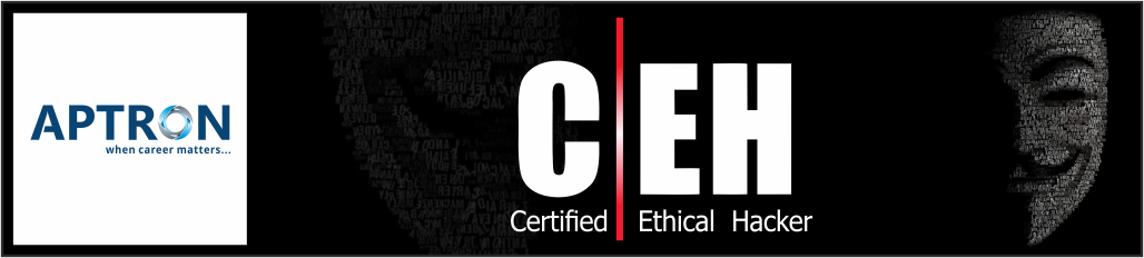 Best CEH training institute in delhi