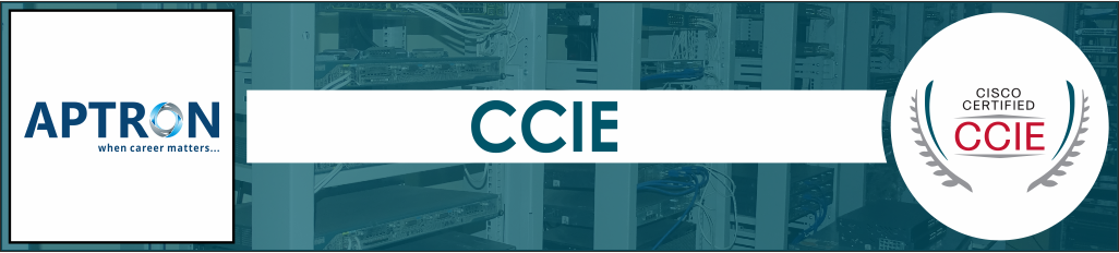 Best ccie training institute in delhi