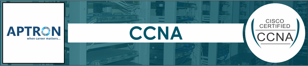 Best ccna training institute in delhi